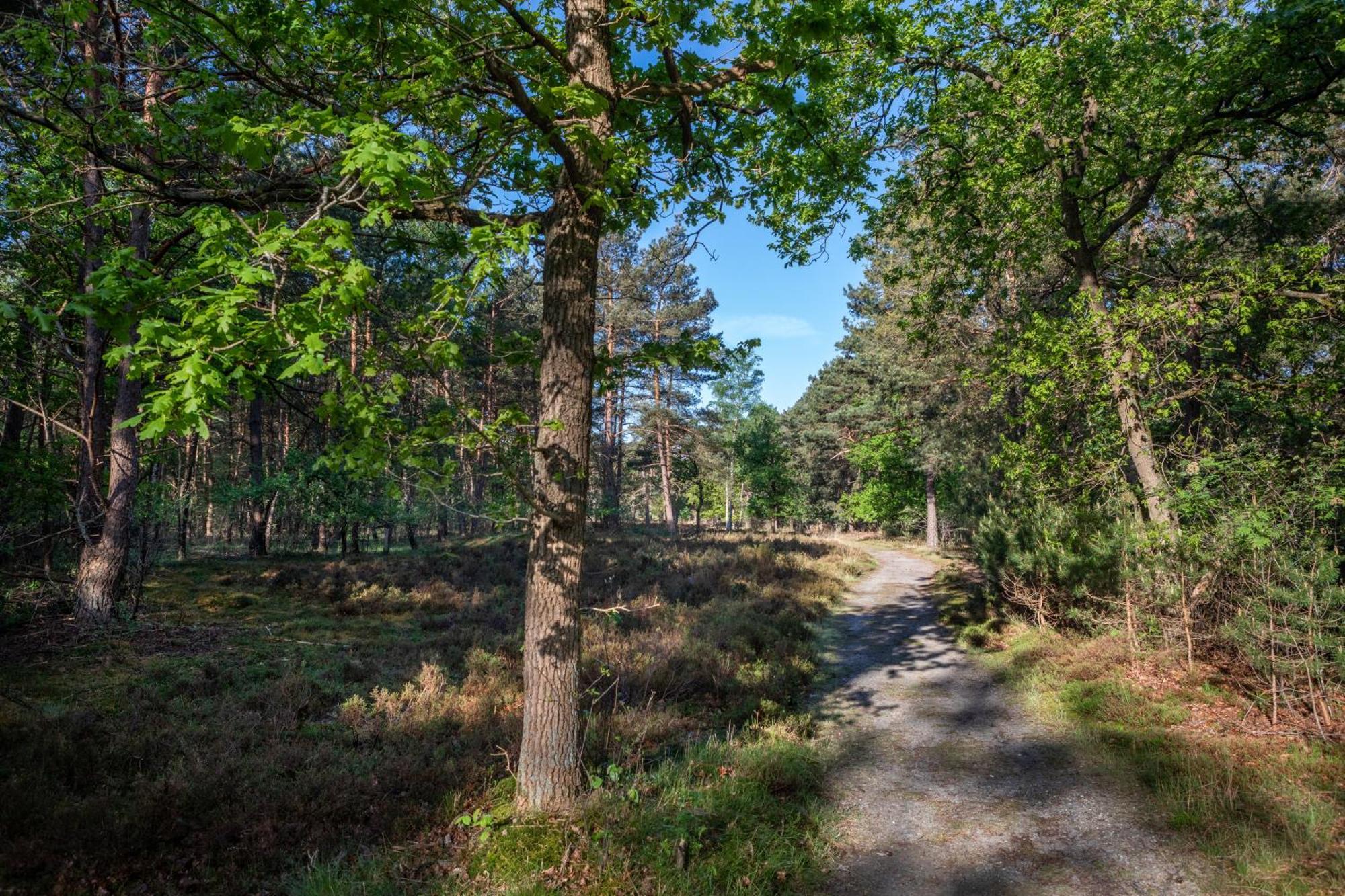 Hotel Woudschoten Zeist Eksteriør billede